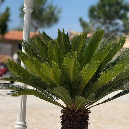 Grand By Greccia Dhermi Prime 5* הימארה